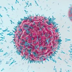 lil paRAPodium f n s