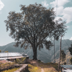 Shubham Shukla