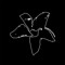 Cryptostegia