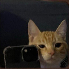 user749290175
