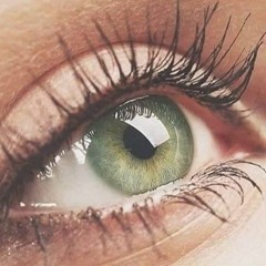 Aya El Shaby
