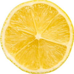 𝔅𝔯𝔞𝔳𝔢𝔰𝔬𝔩𝔢 🦂