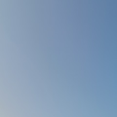 محمود عبده
