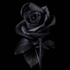 Ahamed Rizwan