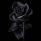 Ahamed Rizwan
