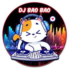 Dj BaoBao