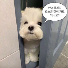 이현진
