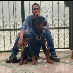 Hossam Rifaat 2