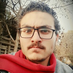 Ahmed Nasef