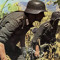wehrmacht