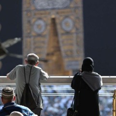 الاء حربي