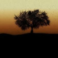 𝓛𝓸𝓻𝓲 𝓣𝓪𝔂𝓵𝓸𝓻