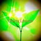 kalle_grass