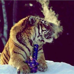 RustyMikeyTiger
