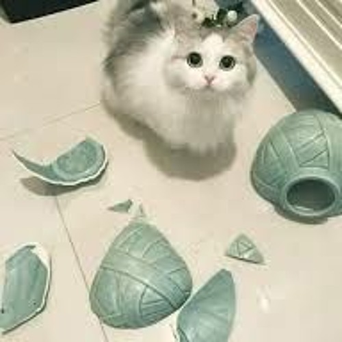 الهوارة- محمد عساف