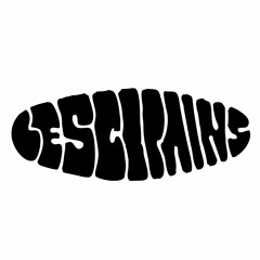 LESCOPAINS Collectif