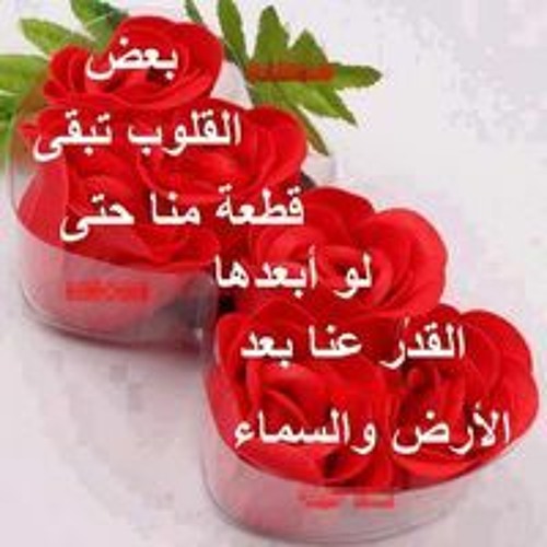 Hoda Mohamed’s avatar