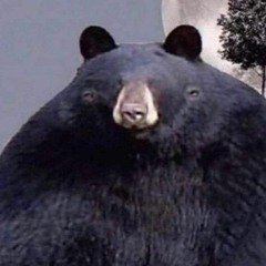 konekradeca