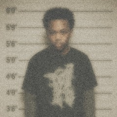 VVSNARC