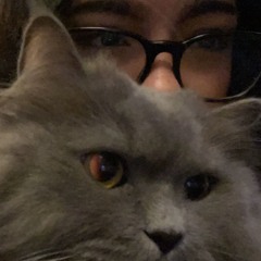 🐈‍⬛