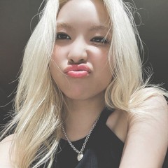 Go Quokka Go Quokka🐿