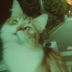calib