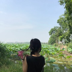 xinh le