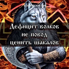 adam_bruiner [bigfedor2004]