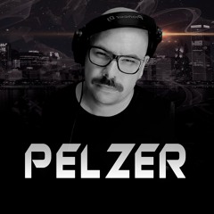 ((PELZER)) Perfil Eletronico