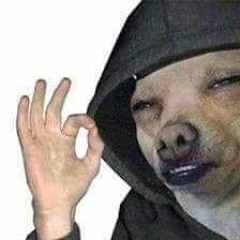 Phendepzaj