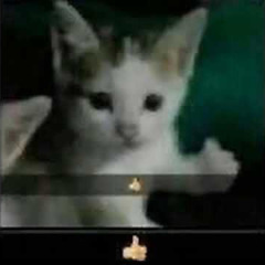 nich
