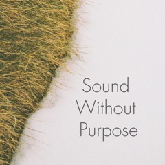 Sound Without Purpose