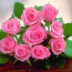 Fätmä Äl Zährää Sääd