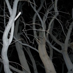 Southsidesilhouette - Ouu (chxncex)