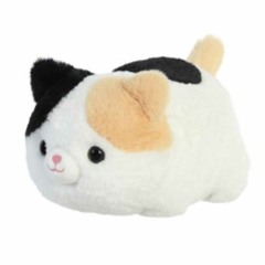 Nastyona 아홉가지 기분