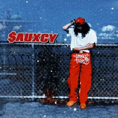 xlSAUXCYlx