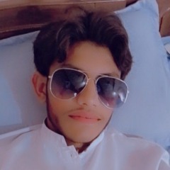 Muhammad Saqib Sami