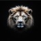 zionlikealion - Songwrighter