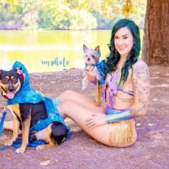 Kyylapaige