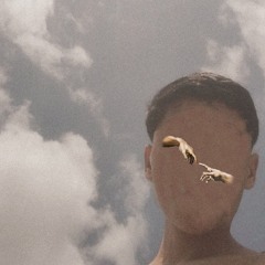 allmir7