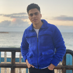 mohamed goda