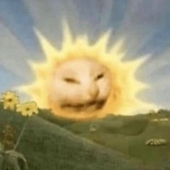 🌻