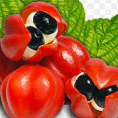 Guarana