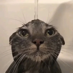 med