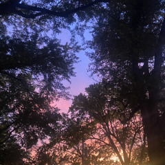 singingmyselftosleep