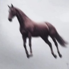 elgualitygguod