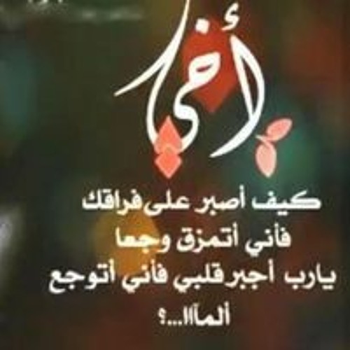 Noosha Ahmad’s avatar