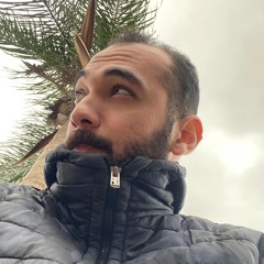 Ahmed Alaa Tawfik