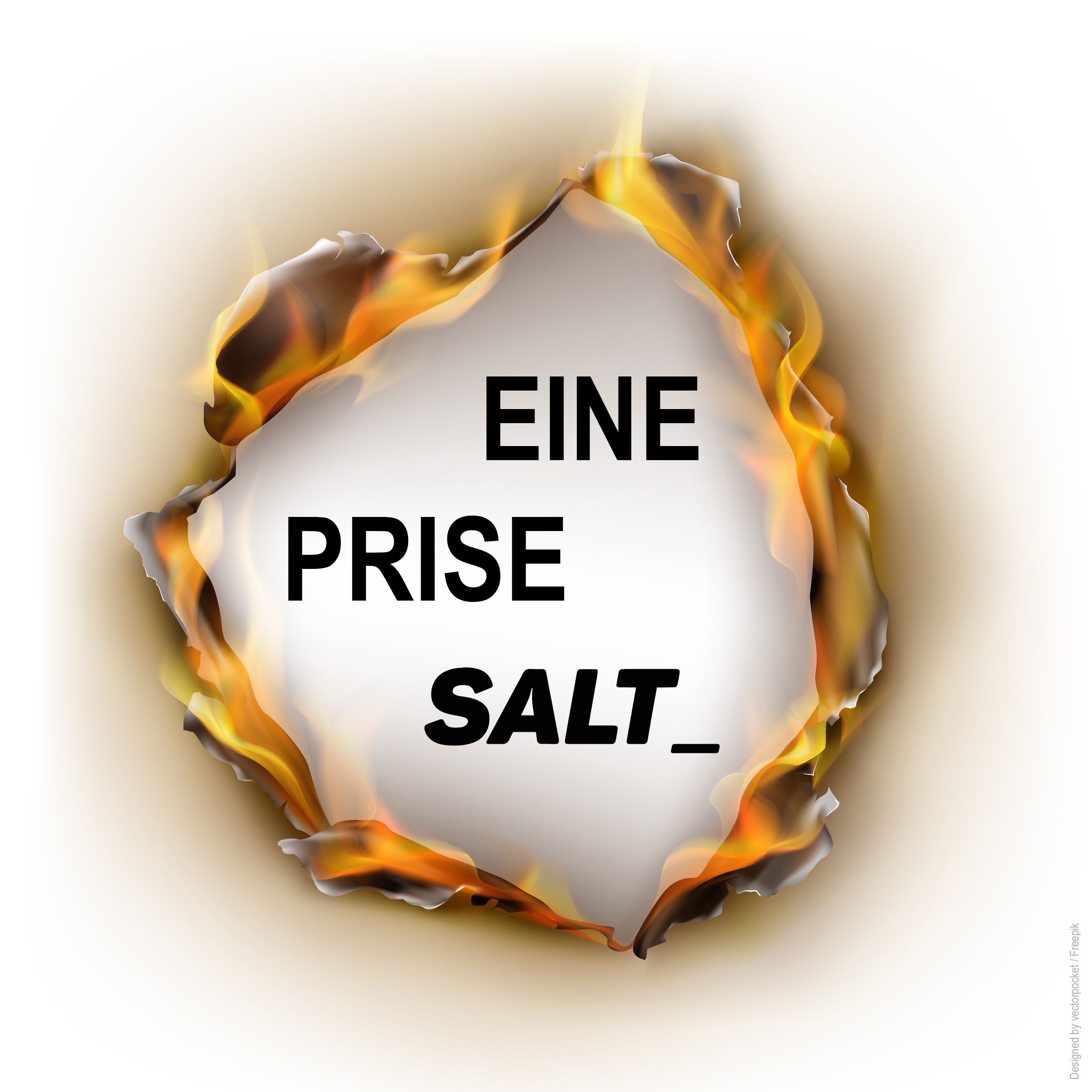 Eine Prise SALT_ cover art