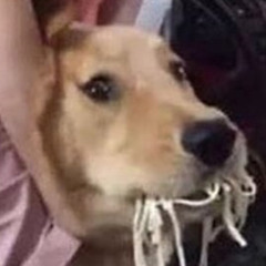 delicious snag
